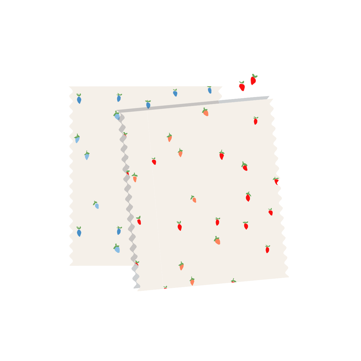 Berry