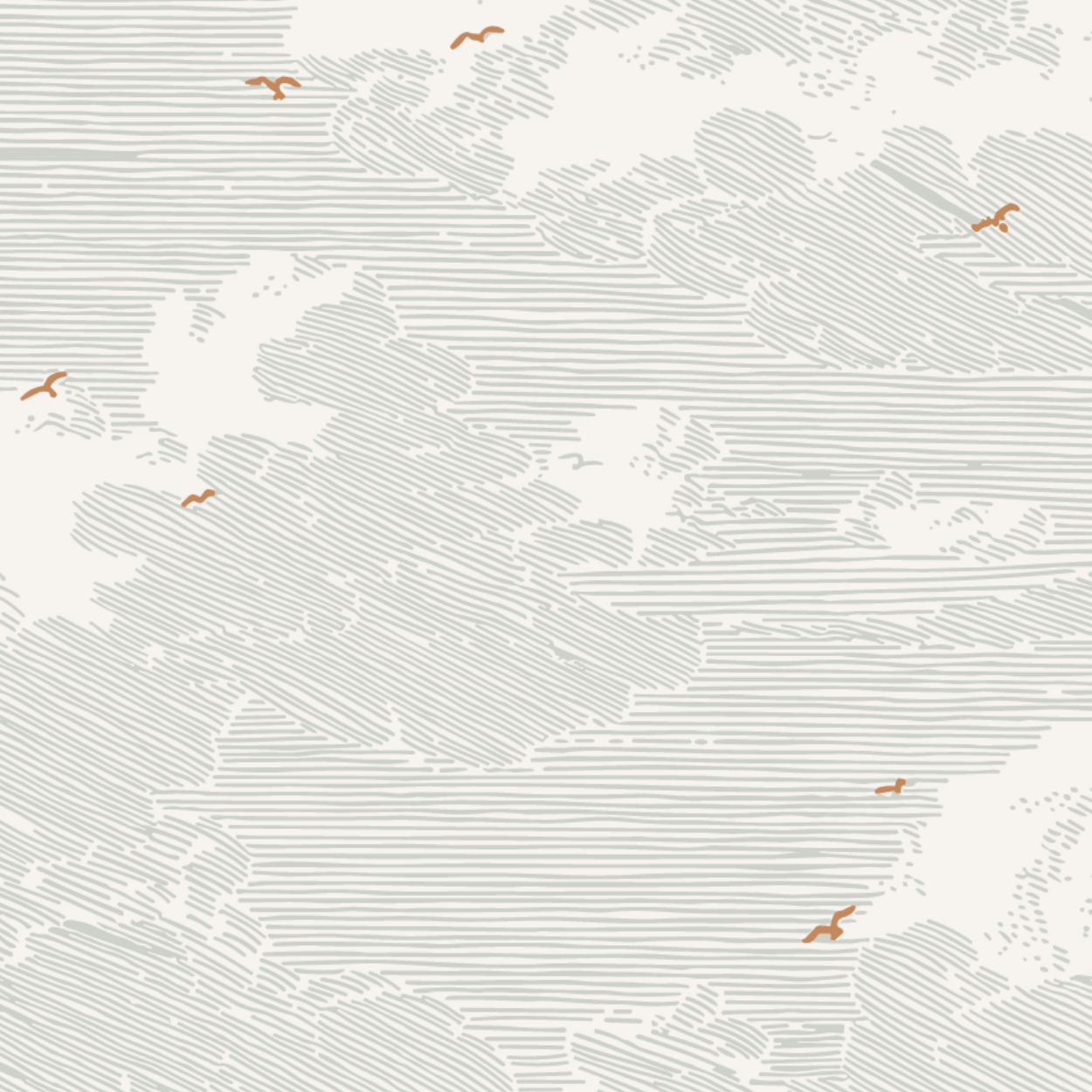 The Printed Bloomer - Midair Pointelle